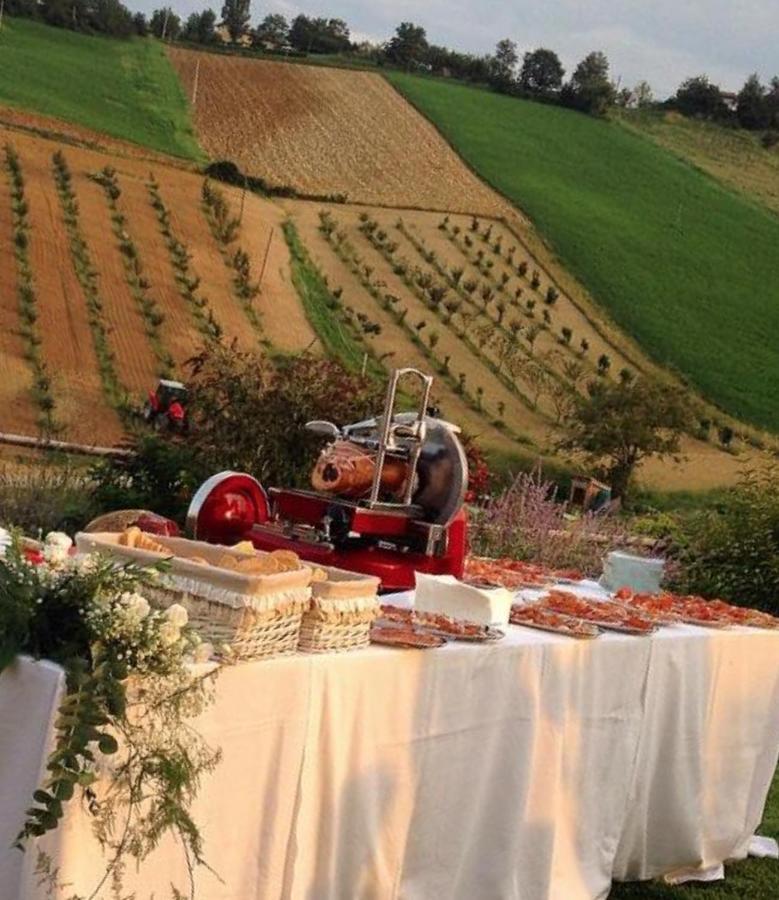 Agriturismo Alba Del Borgo Fidenza Luaran gambar